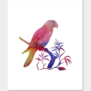 Parrot Posters and Art